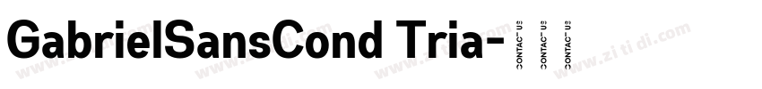 GabrielSansCond Tria字体转换